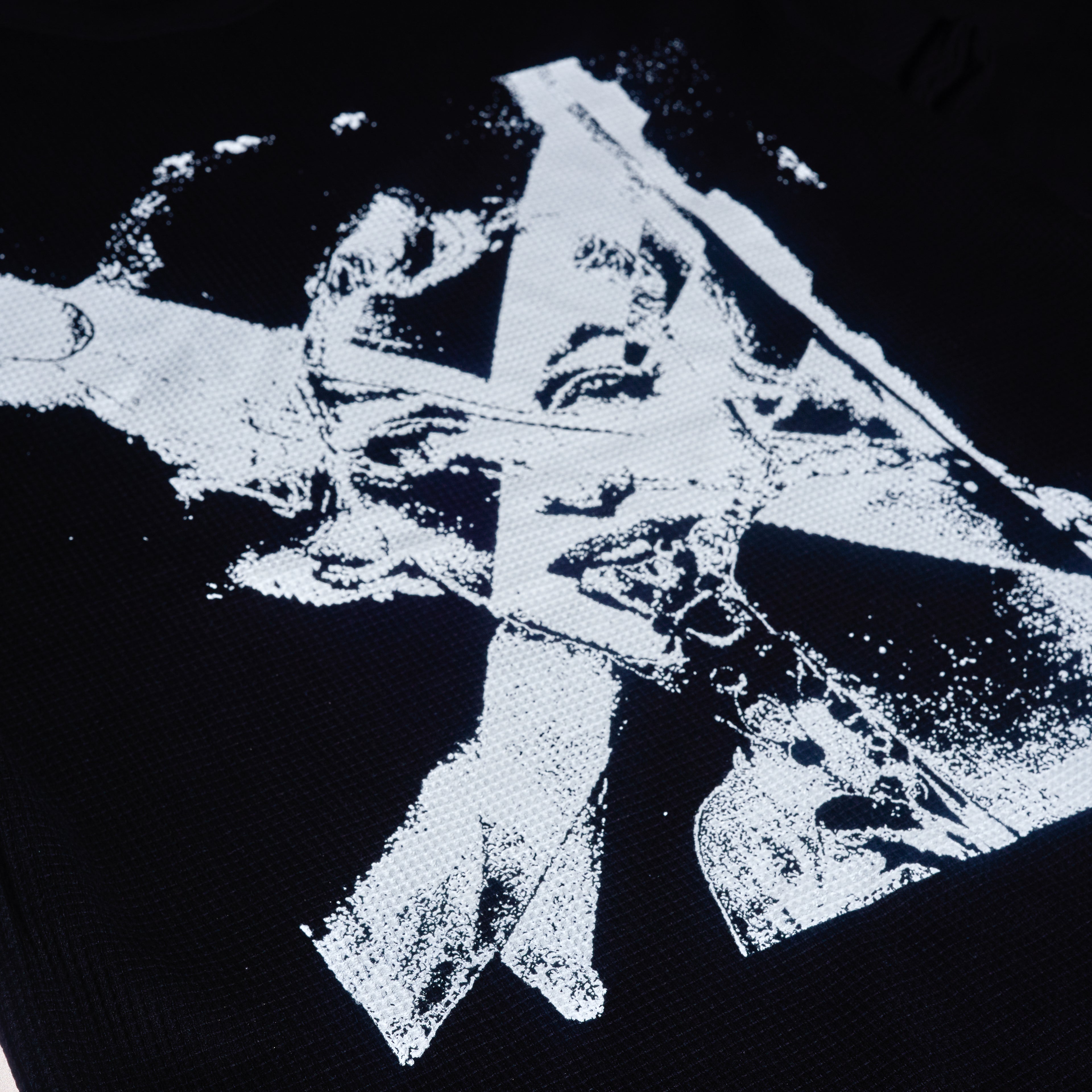 Hisplinter×Rolland berry Thermal　(マリリンモンロー）